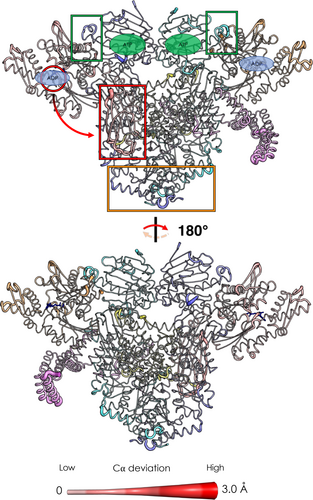 Details are in the caption following the image Details are in the caption following the image