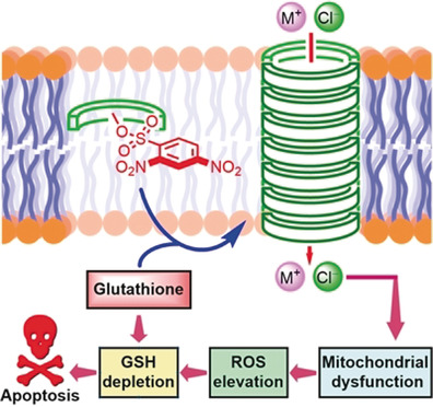 A Glutathione Activatable Ion Channel Induces Apoptosis in Cancer Cells by Depleting Intracellular Glutathione Levels
