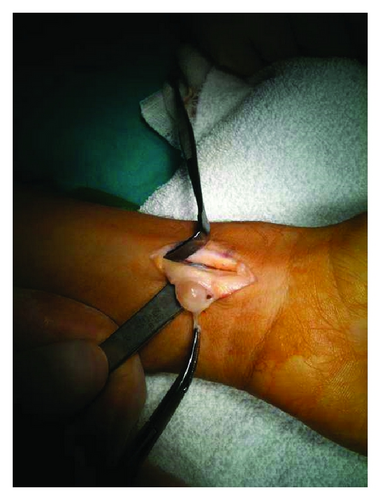Details are in the caption following the image Details are in the caption following the image
