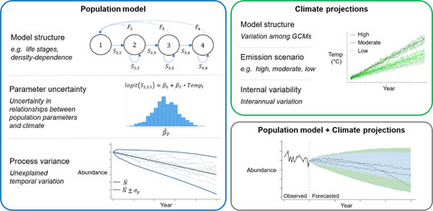 Accounting for sources of uncertainty when forecasting population responses to climate change Issue 3, 2021