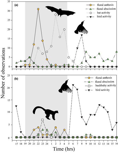 The functional ecology of bat pollination in the African sausage tree Kigelia africana (Bignoniaceae)
