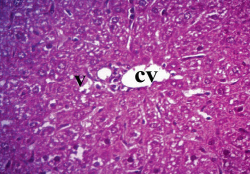 Details are in the caption following the image
