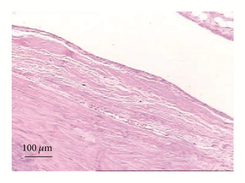 Details are in the caption following the image