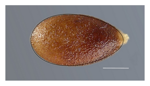Details are in the caption following the image