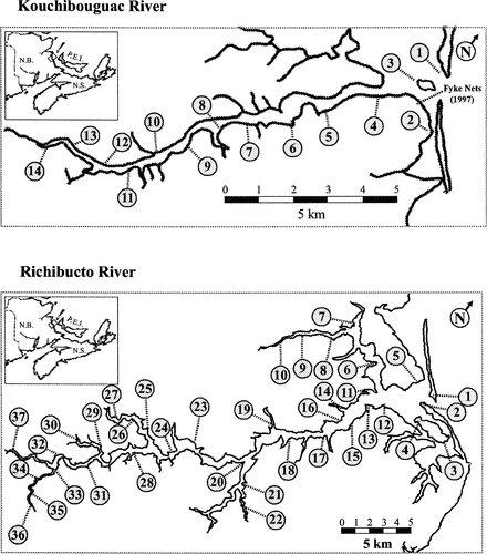 Details are in the caption following the image