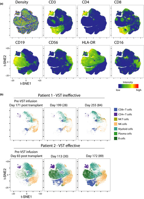Mass cytometry reveals immune signatures associated with cytomegalovirus (CMV) control in recipients of allogeneic haemopoietic stem cell transplant and CMV-specific T cells