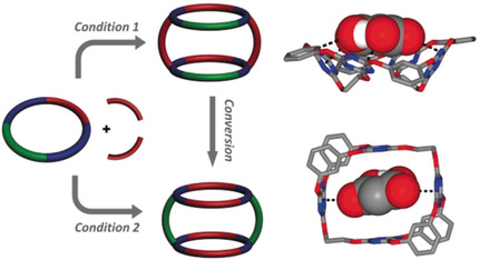 Diversity-Oriented Construction and Interconversion of Multicavity Supermacrocycles for Cooperative Anion–π Binding