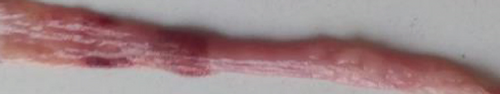 Details are in the caption following the image