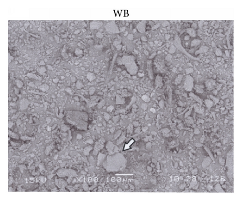 Details are in the caption following the image