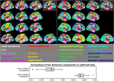 Subject-specific segregation of functional territories based on deep phenotyping