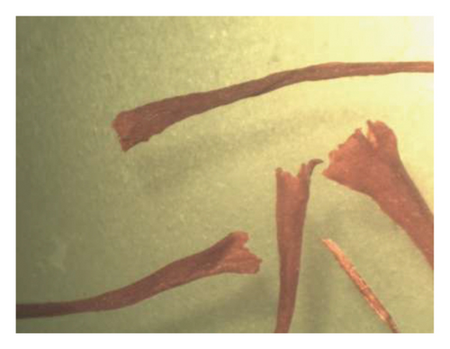 Details are in the caption following the image