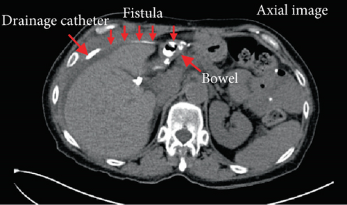 Details are in the caption following the image Details are in the caption following the image