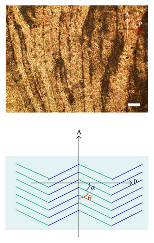 Details are in the caption following the image