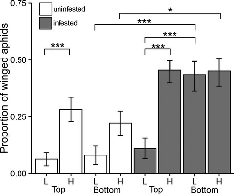 Effects of crowding and host plant quality on morph determination in the soybean aphid, Aphis glycines