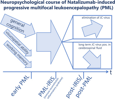 Course of neuropsychological impairment during natalizumab-associated progressive multifocal leukoencephalopathy