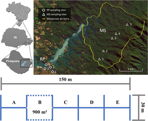 Details are in the caption following the image Details are in the caption following the image