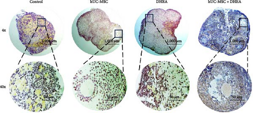 Details are in the caption following the image