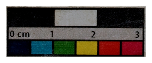 Details are in the caption following the image