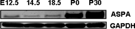 Details are in the caption following the image