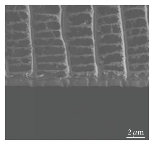 Details are in the caption following the image