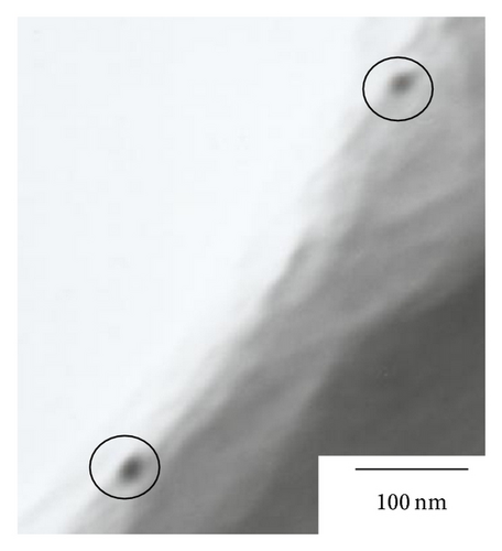 Details are in the caption following the image