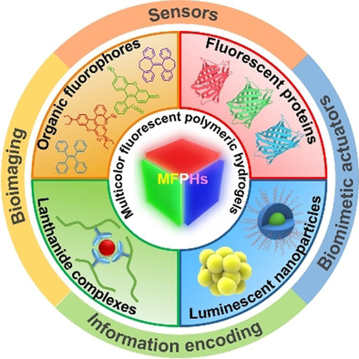 Multicolor Fluorescent Polymeric Hydrogels