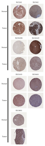 Details are in the caption following the image Details are in the caption following the image