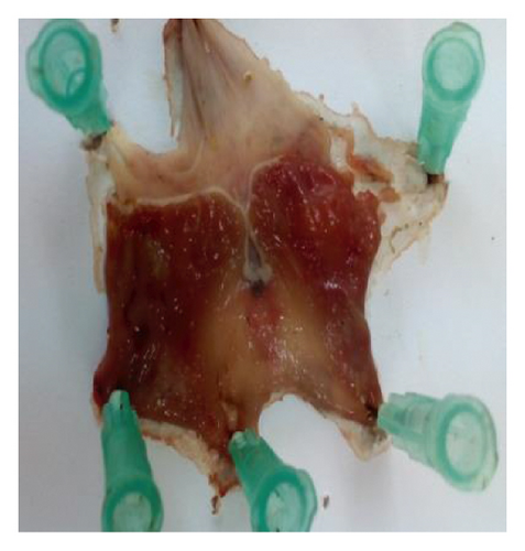 Details are in the caption following the image Details are in the caption following the image