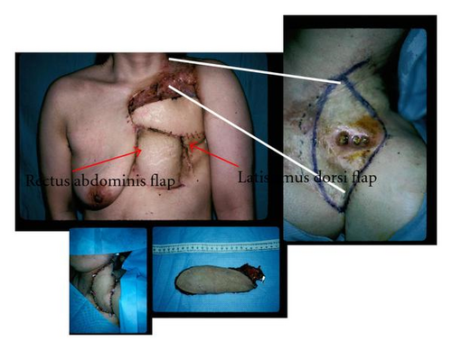 Details are in the caption following the image Details are in the caption following the image