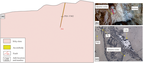 Details are in the caption following the image Details are in the caption following the image