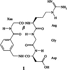 The β Turn as a Selectivity Switch: βI or βII′? That Is the Question