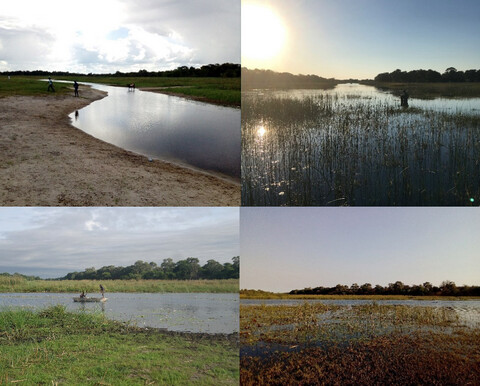 Ephemeral habitat supports high fish α-diversity and β-diversity during drought in a subtropical semiarid wetland