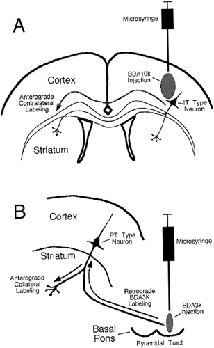 Details are in the caption following the image