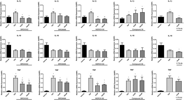 Histone deacetylases 1 and 2 inhibition suppresses cytokine production and osteoclast bone resorption in vitro