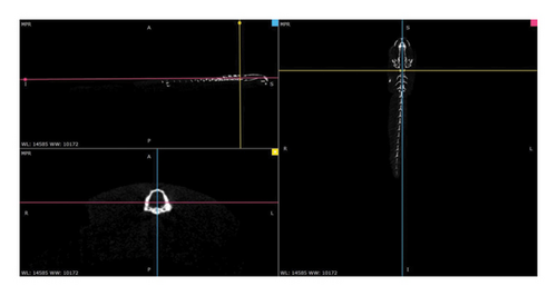 Details are in the caption following the image Details are in the caption following the image