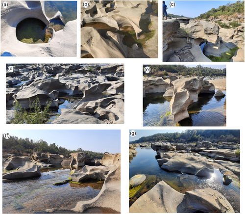 Details are in the caption following the image Details are in the caption following the image