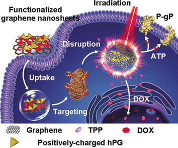 Directed Graphene-Based Nanoplatforms for Hyperthermia: Overcoming Multiple Drug Resistance