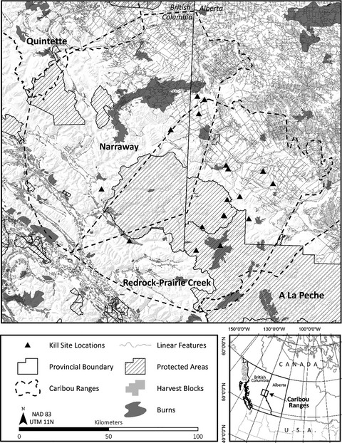 Close encounters of the fatal kind: Landscape features associated with central mountain caribou mortalities