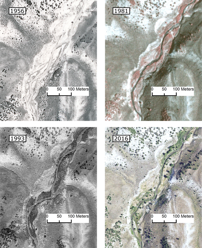 Details are in the caption following the image Details are in the caption following the image