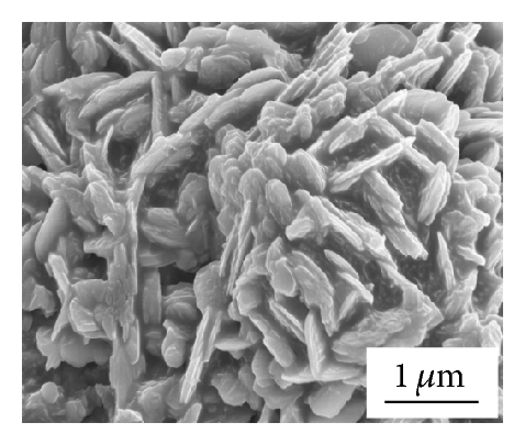 Details are in the caption following the image
