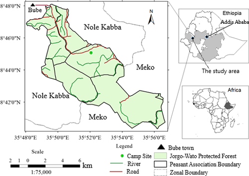 Details are in the caption following the image Details are in the caption following the image