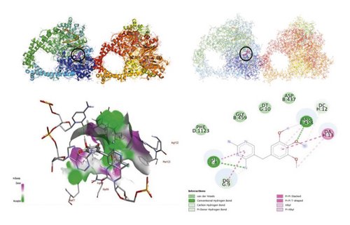 Details are in the caption following the image Details are in the caption following the image