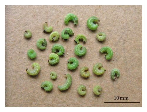 Details are in the caption following the image