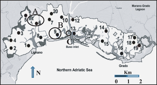 Details are in the caption following the image Details are in the caption following the image