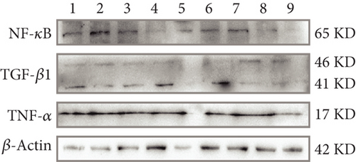 Details are in the caption following the image Details are in the caption following the image