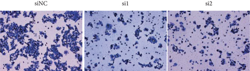 Details are in the caption following the image