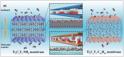 Elucidating Ultrafast Molecular Permeation through Well-Defined 2D Nanochannels of Lamellar Membranes