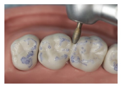 Details are in the caption following the image Details are in the caption following the image