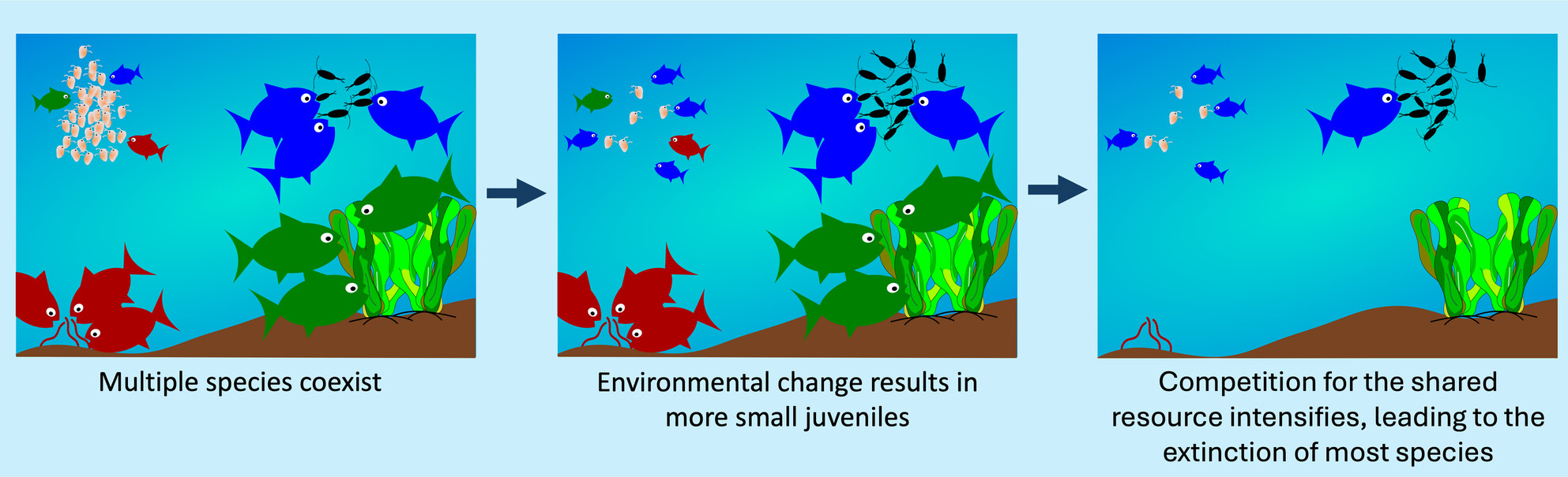 Environmental Change Can Result in Irreversible Biodiversity Loss in Recently Formed Species Flocks