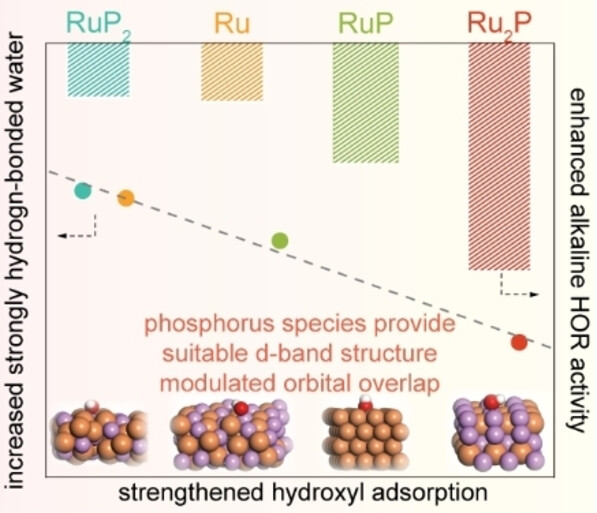 The Role of Phosphorus on Alkaline Hydrogen Oxidation Electrocatalysis for Ruthenium Phosphides